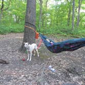 Review photo of Devils Lake State Park Group Campground — Devils Lake State Park by Kay K., August 24, 2025