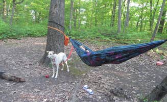 Kay K.'s photo of camping with pets at Devils Lake State Park Group Campground — Devils Lake State Park near Poynette, WI