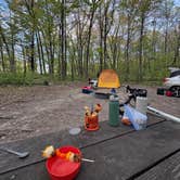 Review photo of Devils Lake State Park Group Campground — Devils Lake State Park by Nicholas S., May 14, 2026