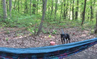 Kay K.'s photo of camping with pets at Devils Lake State Park Group Campground — Devils Lake State Park near Spring Green, WI