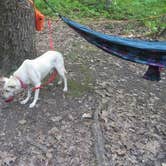 Review photo of Devils Lake State Park Group Campground — Devils Lake State Park by Kay K., August 24, 2025