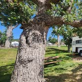 Review photo of Devils Tower KOA by Douglas S., July 24, 2025