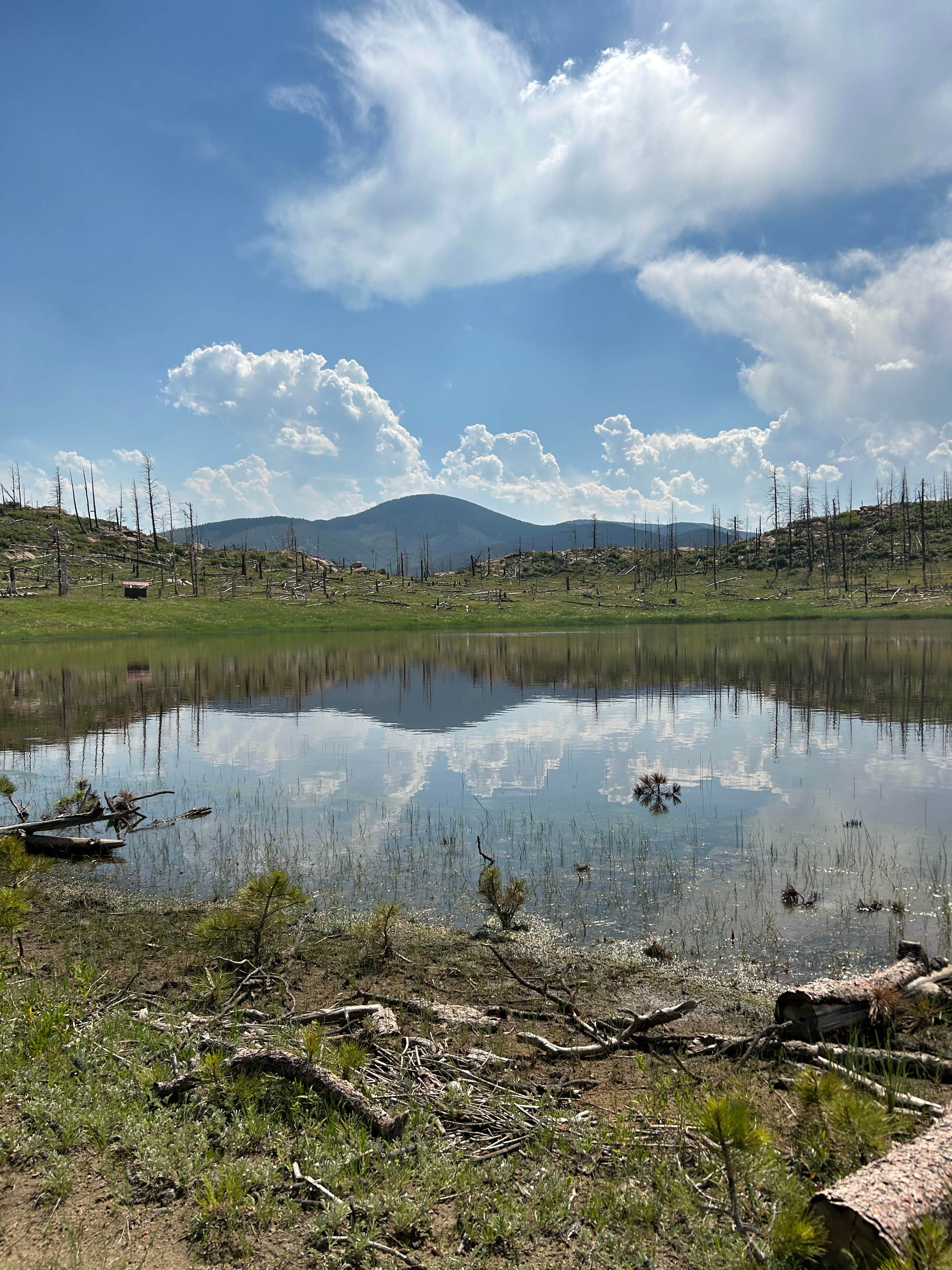 Camper submitted image from Devils Wash Basin - 3