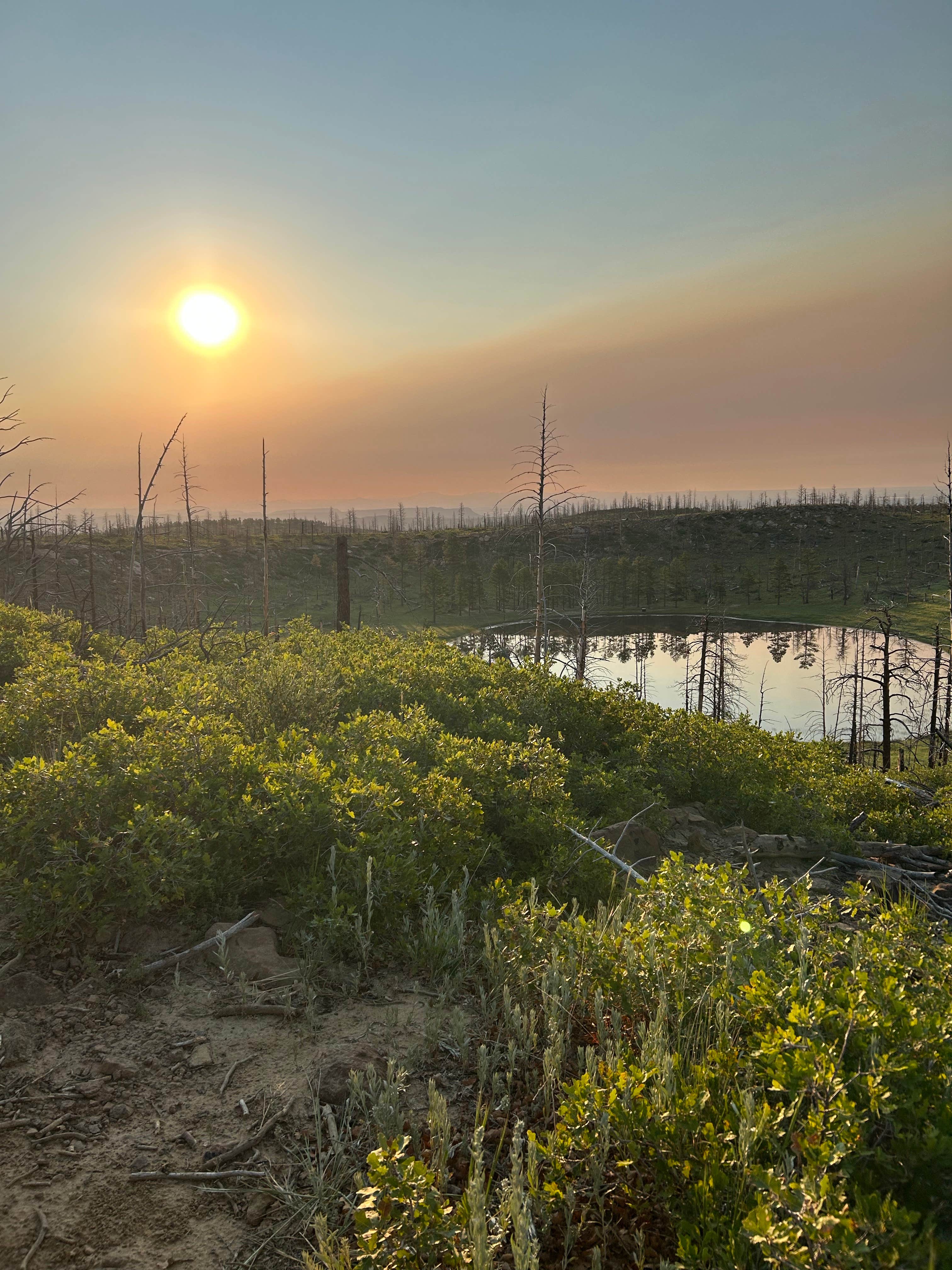 Camper-submitted photo at Devils Wash Basin near Angel Fire, NM