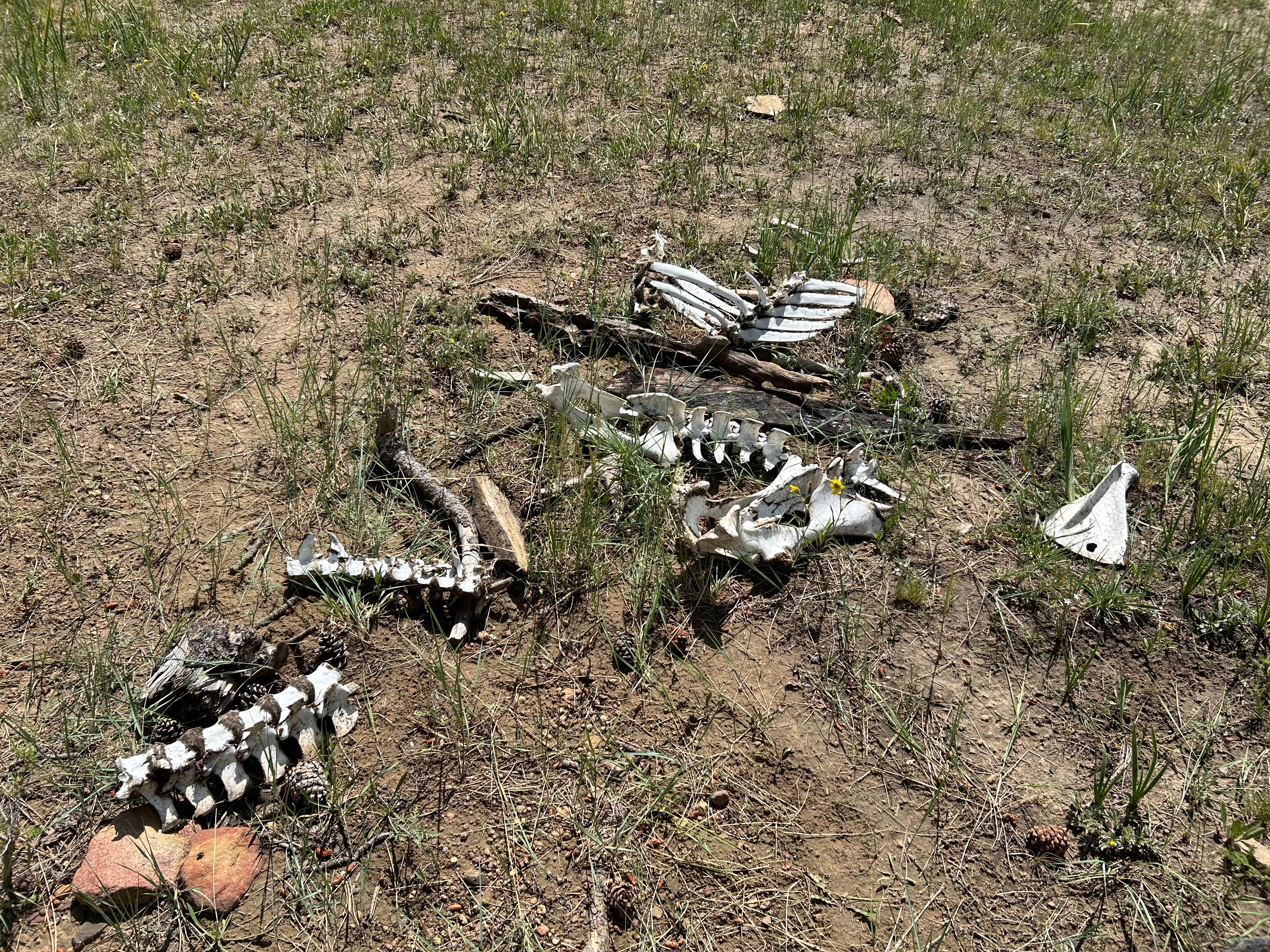 Camper-submitted photo at Devils Wash Basin near Angel Fire, NM