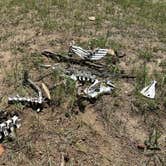 Review photo of Devils Wash Basin by Daniel E., January 30, 2026