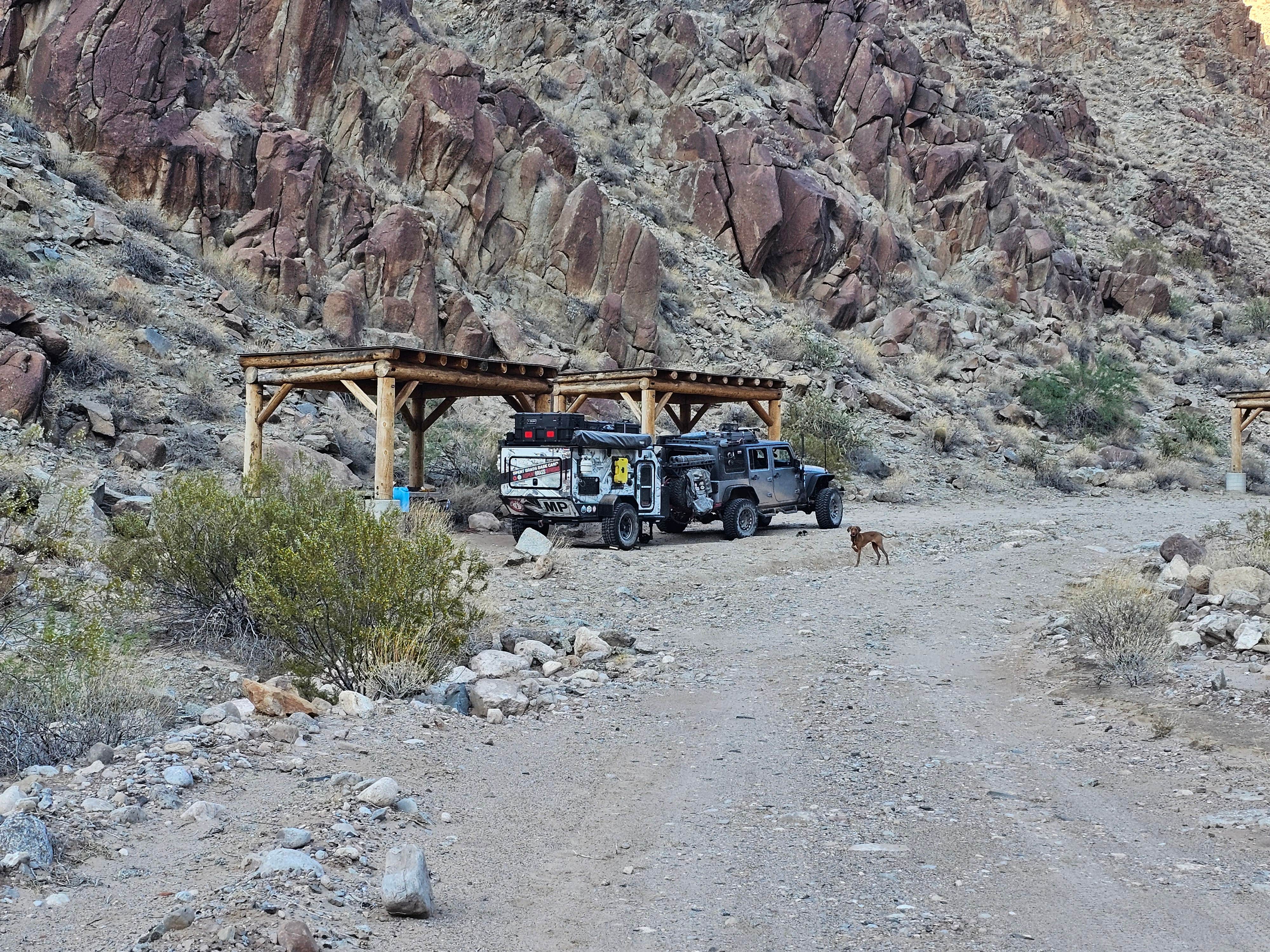 SpentBrassOffroad B.'s photo of camping with pets at Diamond Creek Camp - Hualapai Tribal Land near Peach Springs, AZ