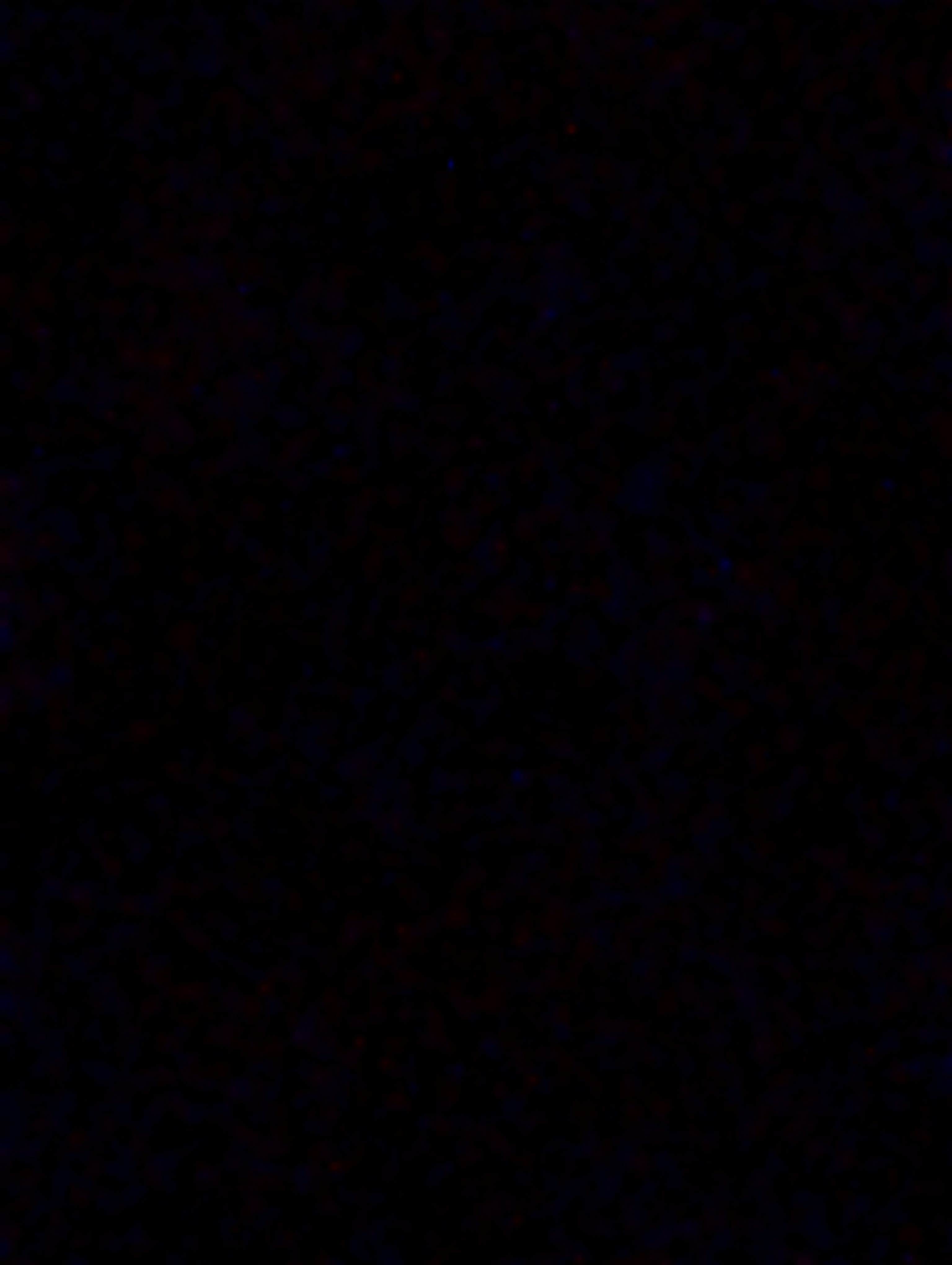 Camper-submitted photo at Diamond Creek Camp - Hualapai Tribal Land near Peach Springs, AZ