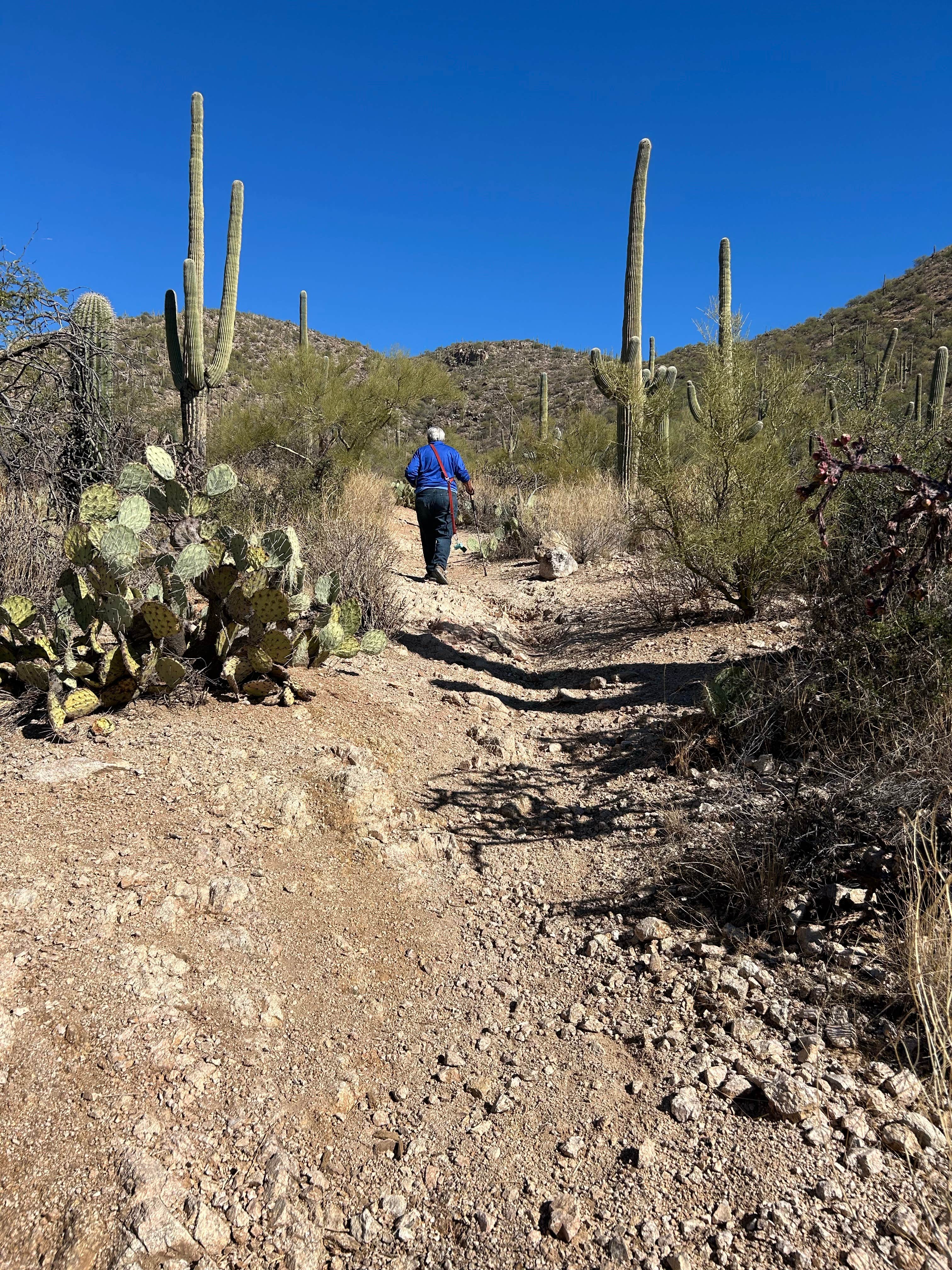 Camper-submitted photo at Justin's Diamond J RV Park near Oro Valley, AZ