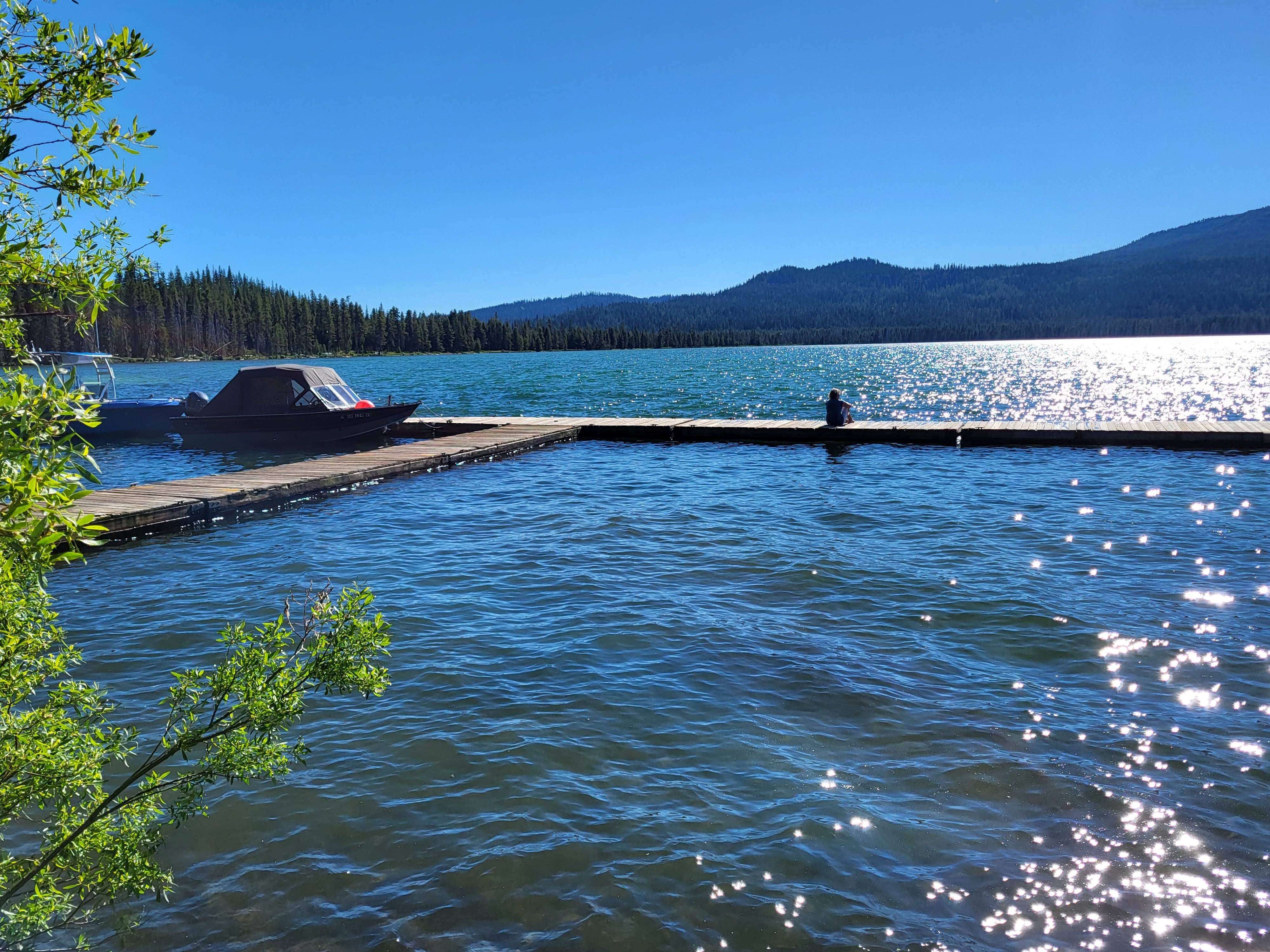 Camper-submitted photo at Diamond Lake RV Park near Crater Lake, OR