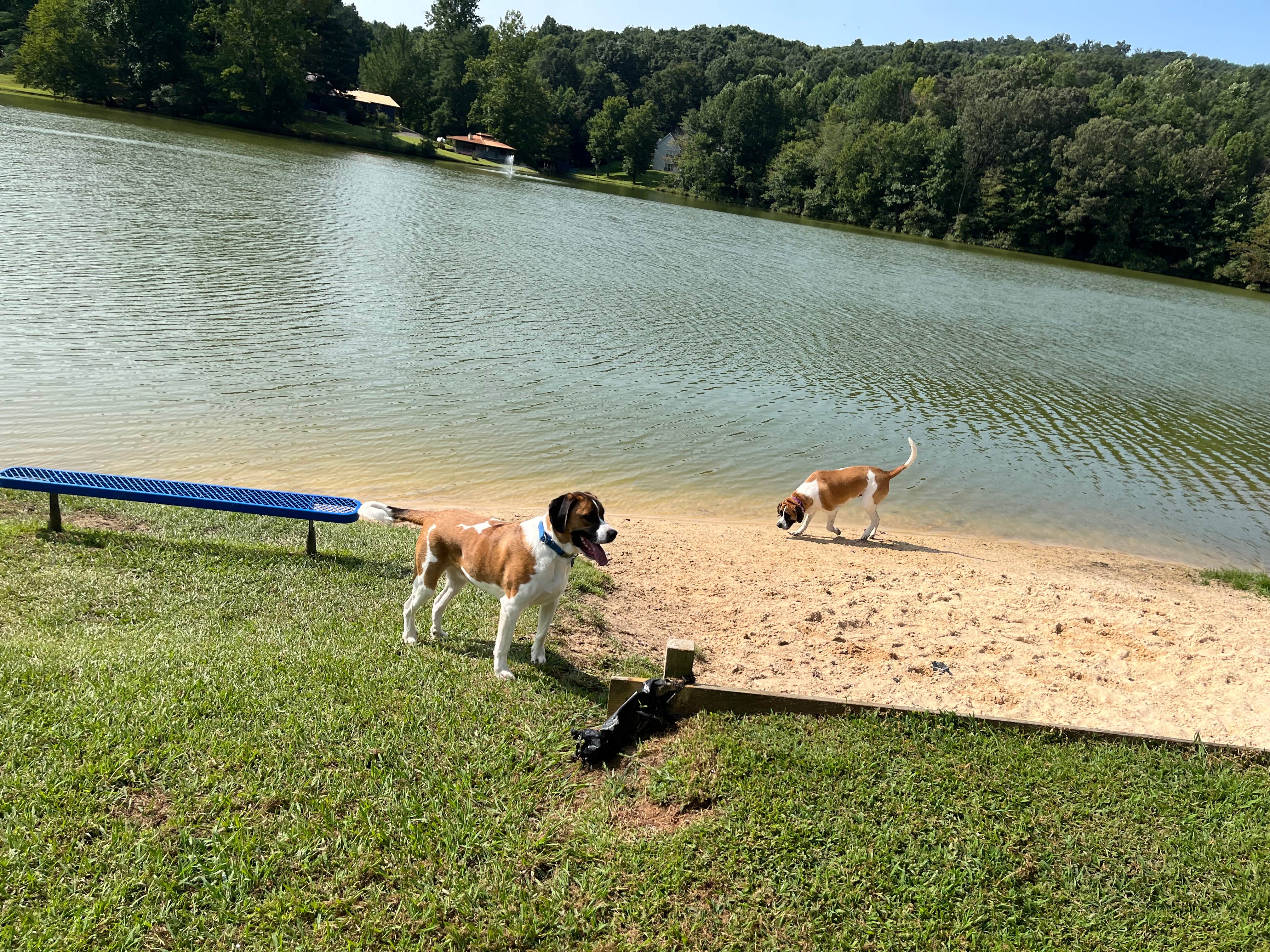 Camper-submitted photo at Diamond Lure Campground near Talking Rock, GA