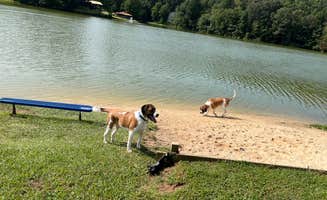 Jerry B.'s photo of camping with pets at Diamond Lure Campground near Carters Lake