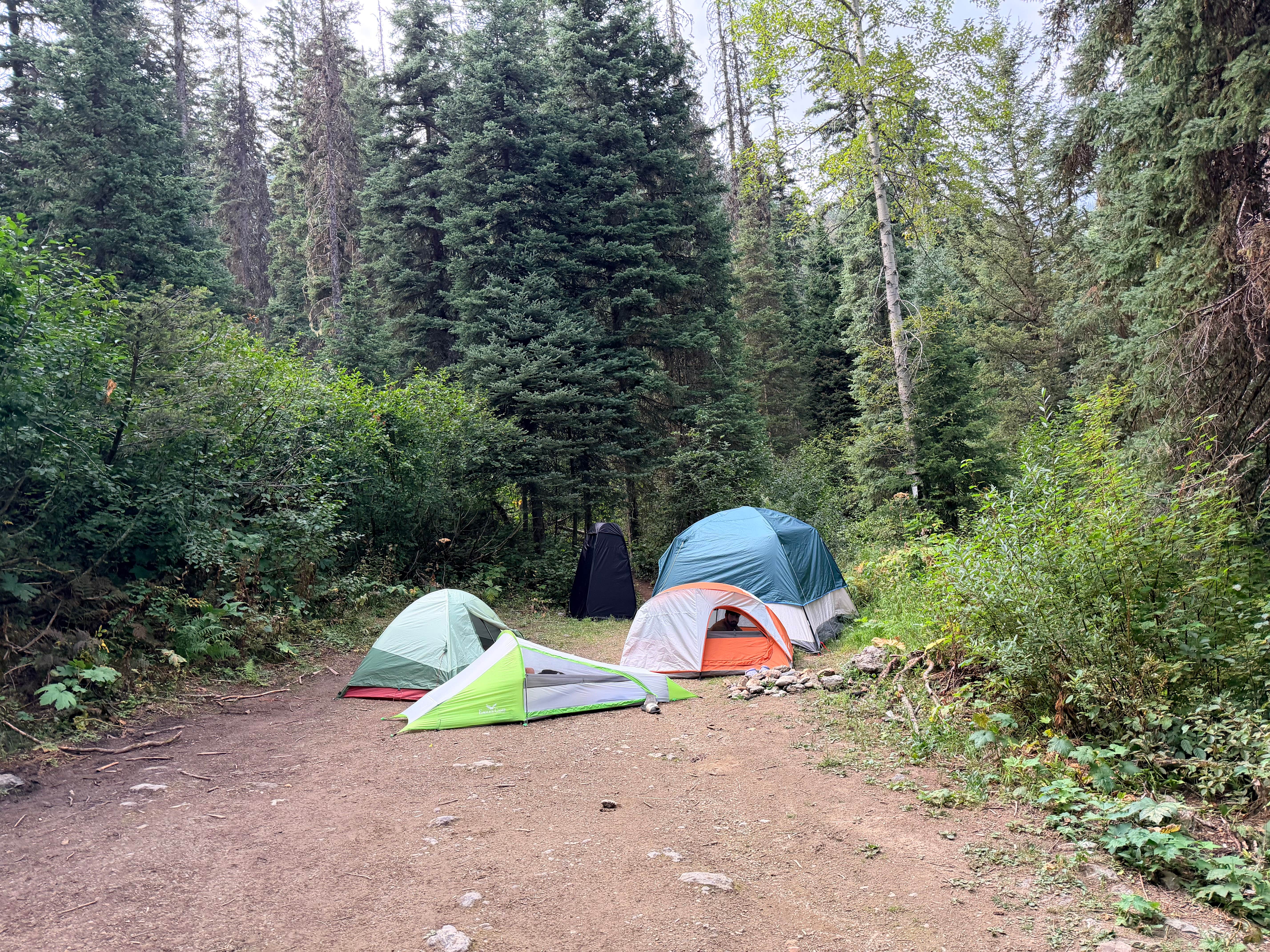 Camper-submitted photo at Dickey Creek Road Camp near Essex, MT