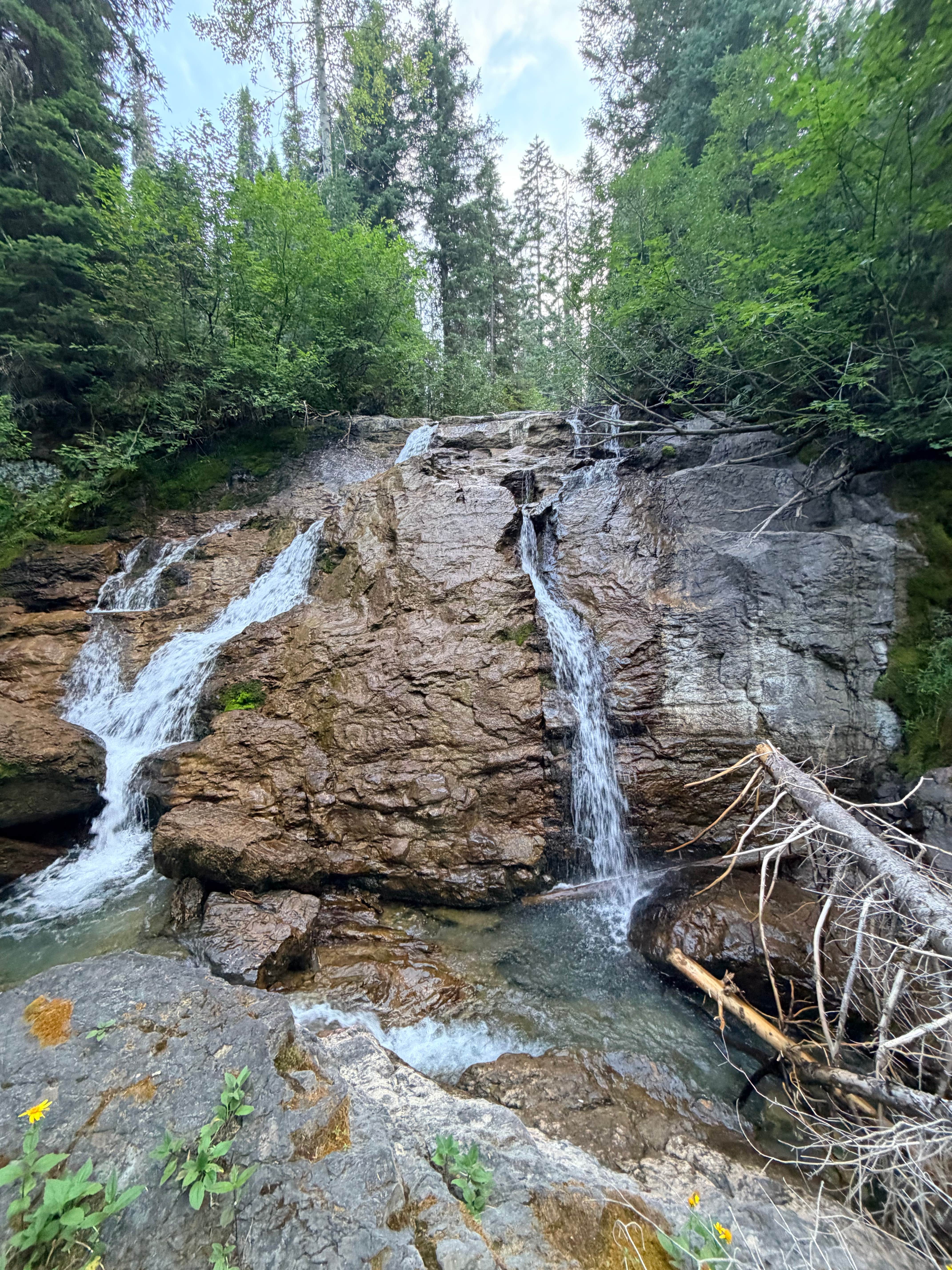 Camping near Bear Creek River Access Boating Site: Dickey Creek Road Camp, Essex, Montana