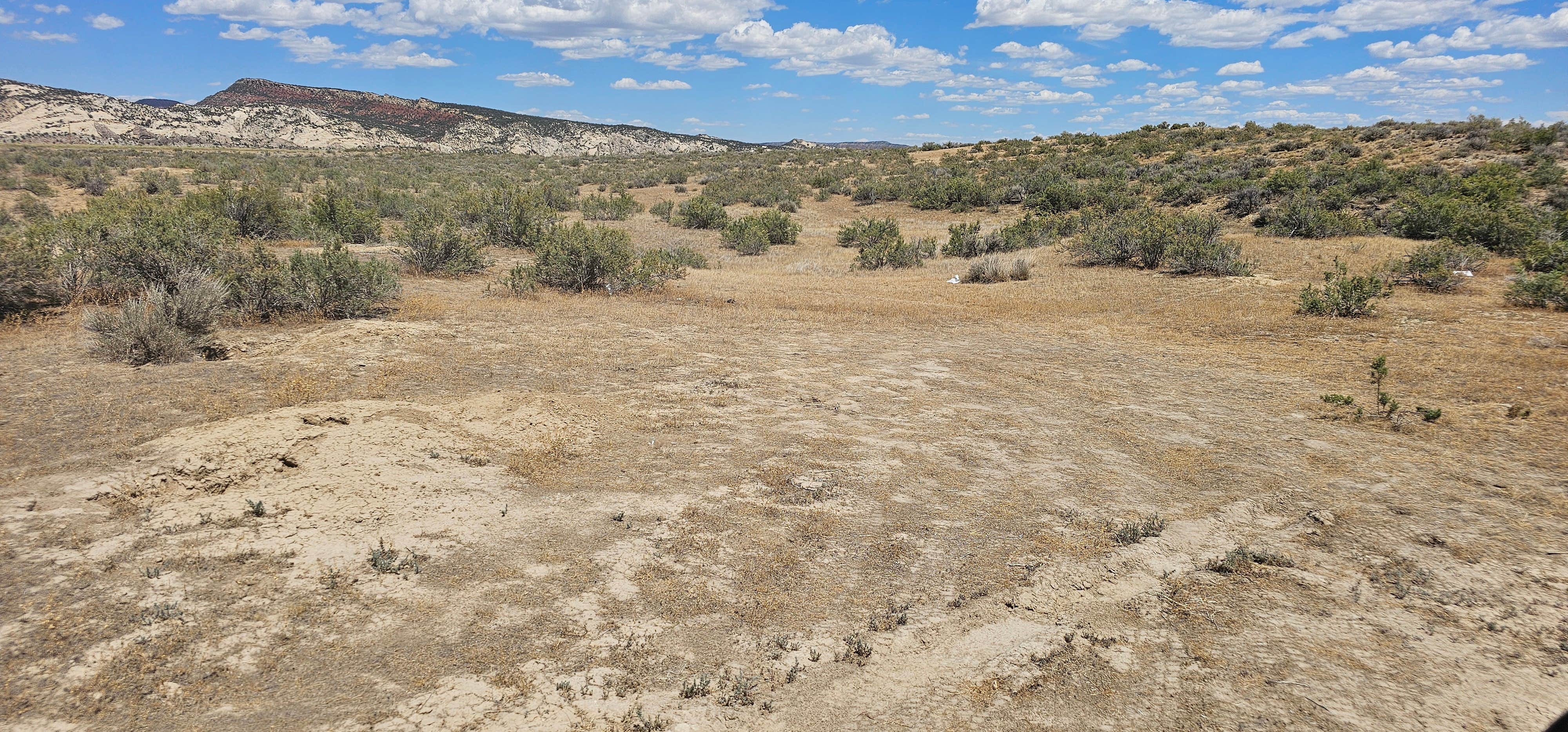 Camper-submitted photo at Dinosaur Dispersed Site near Dinosaur, CO