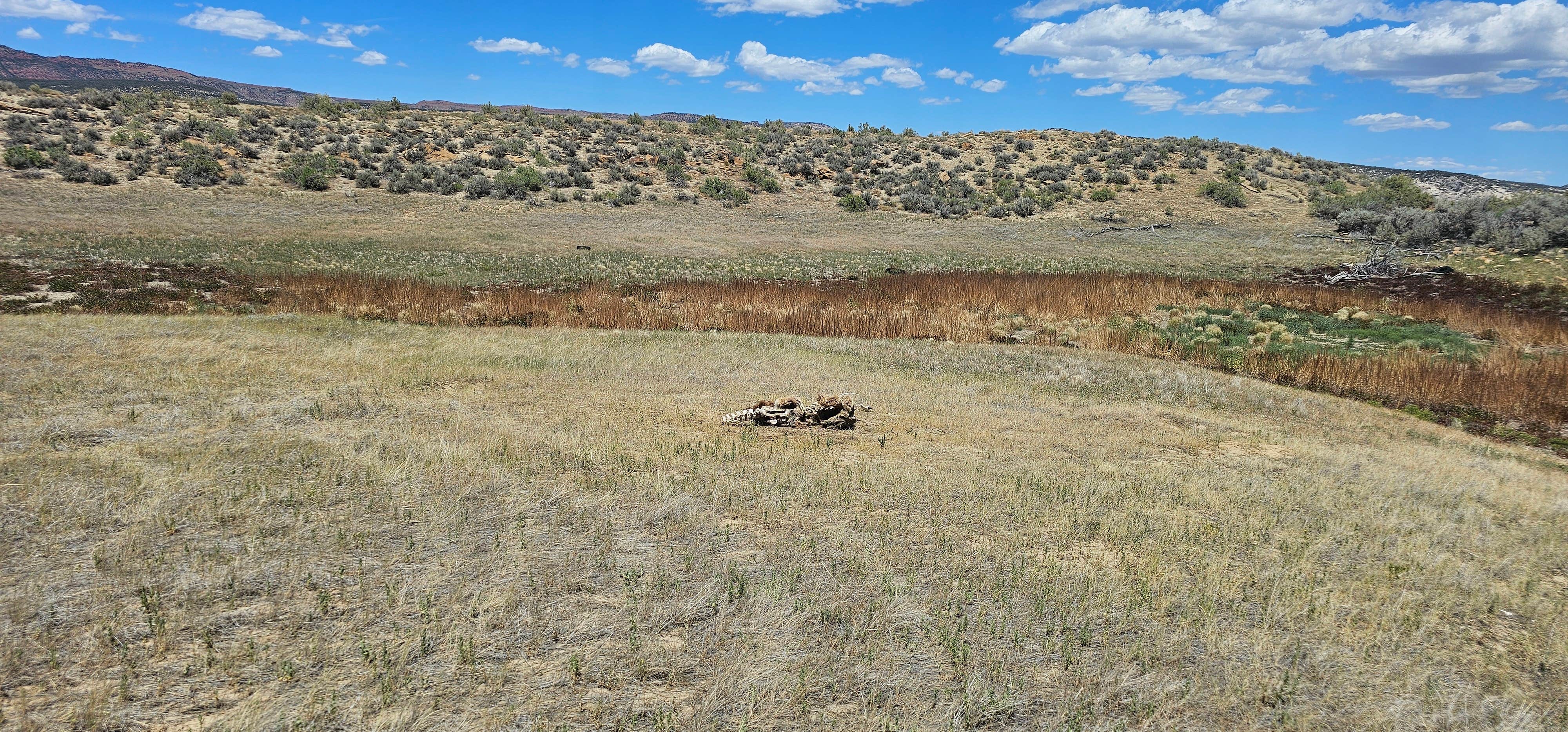 Camper-submitted photo at Dinosaur Dispersed Site near Dinosaur, CO
