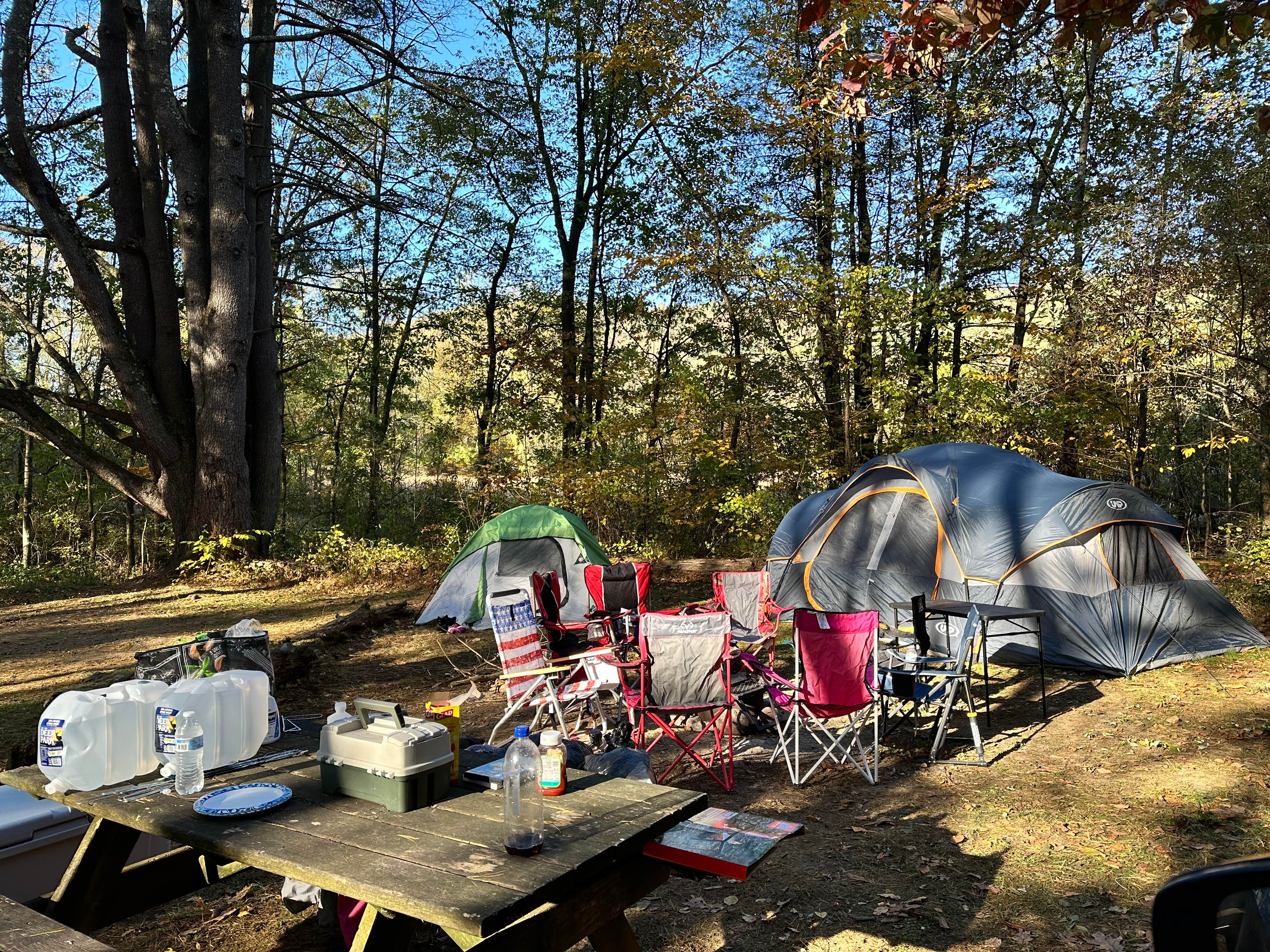 Camper submitted image from Dingmans Campground - Delaware Water Gap NRA - 1