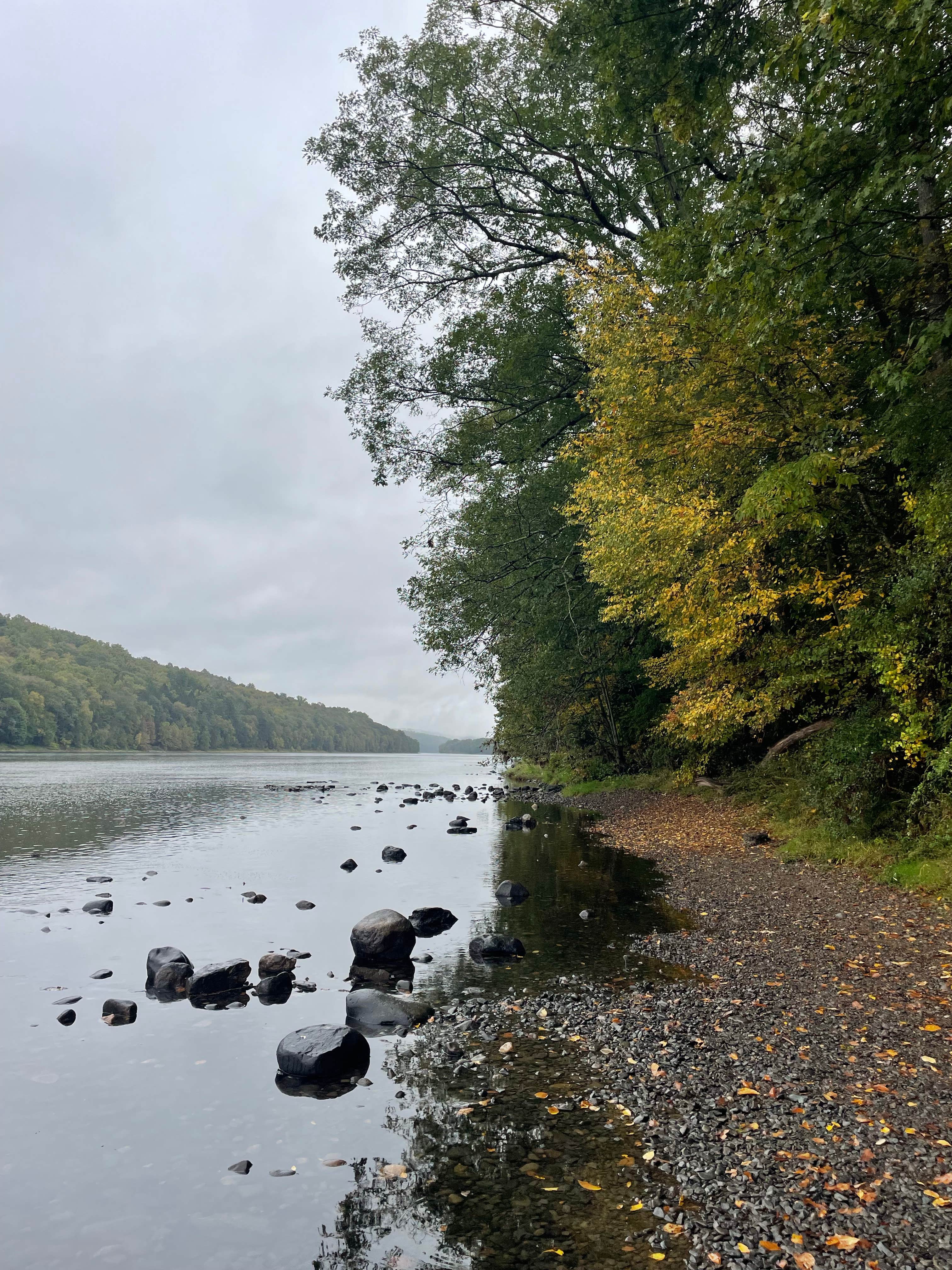 Camper submitted image from Dingman's Family Campground - 4