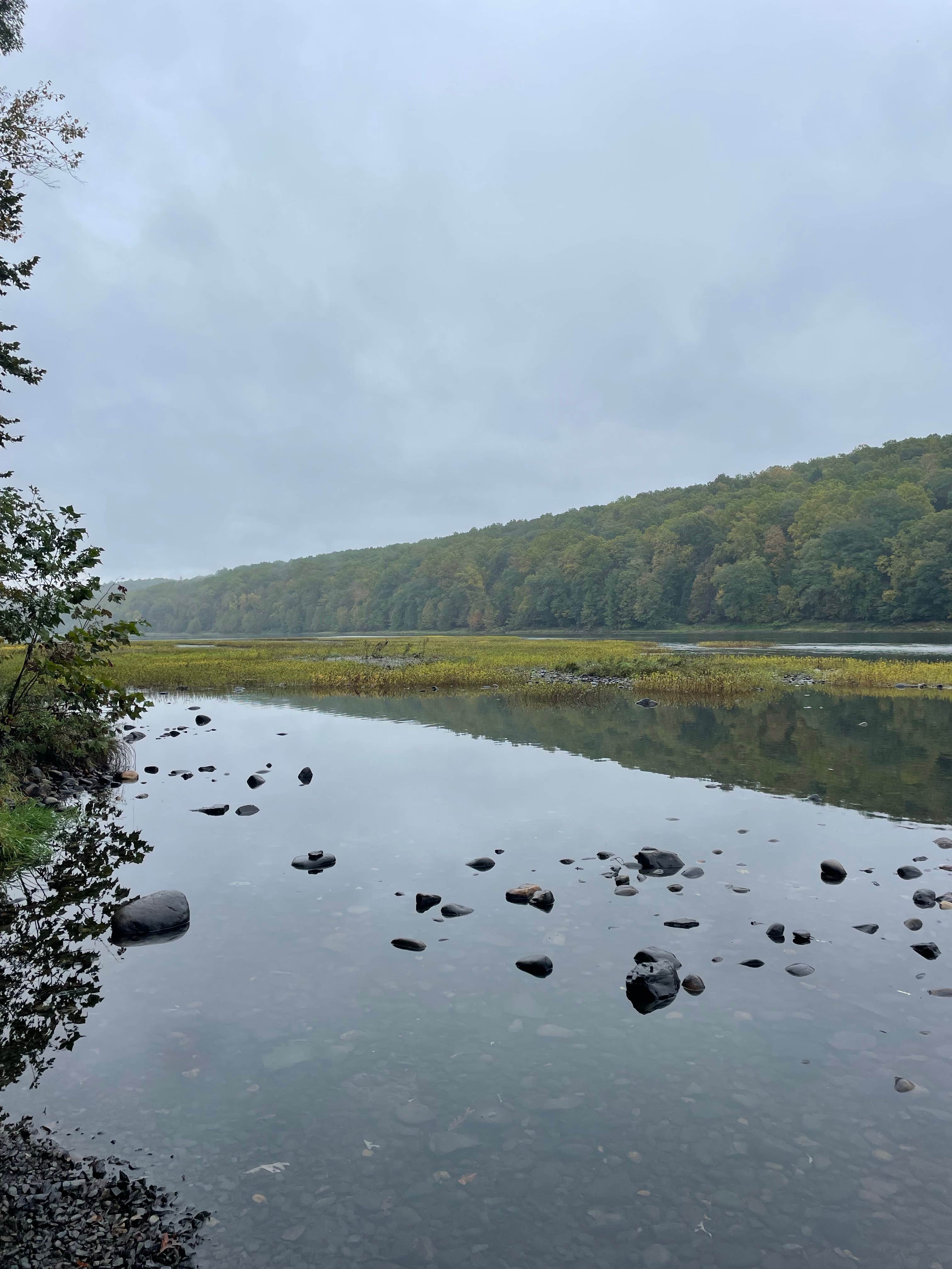 Camper submitted image from Dingman's Family Campground - 3