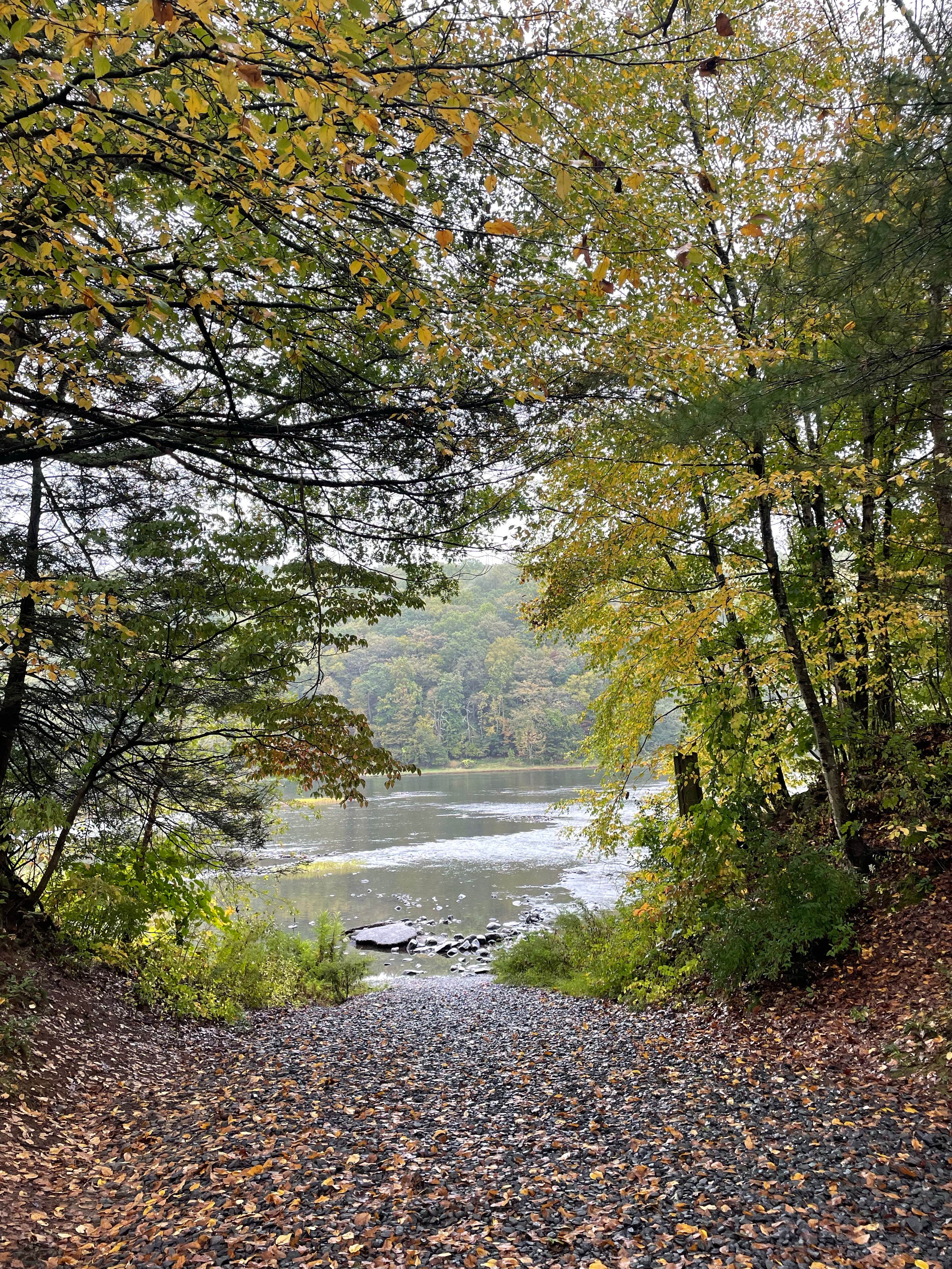 Camper submitted image from Dingman's Family Campground - 2