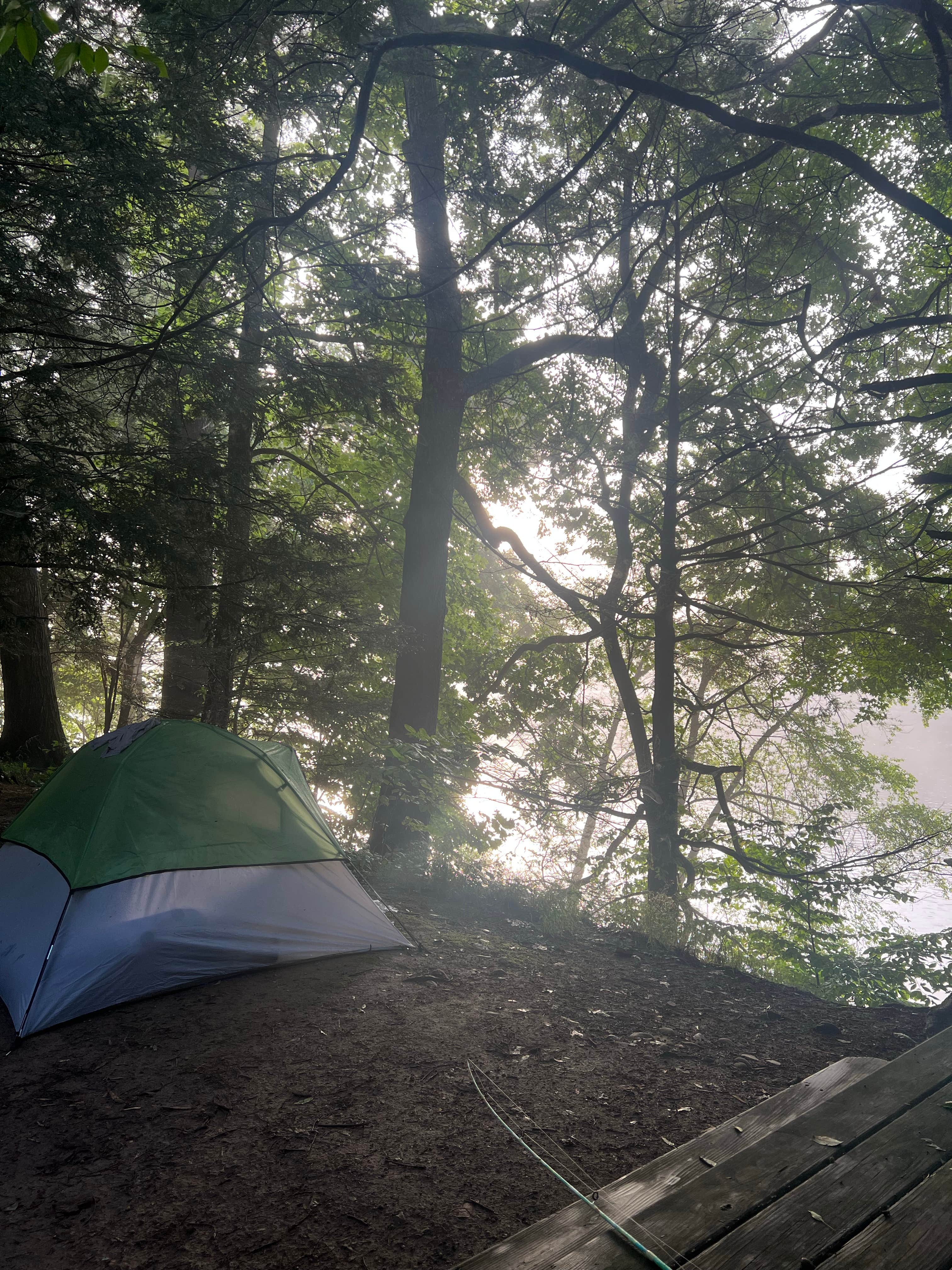 Camping near Namanock Island — Delaware Water Gap National Recreation Area: Dingmans Shallows Campground — Delaware Water Gap National Recreation Area, Wallpack Center, Pennsylvania