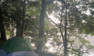Camping near Hornbeck's River Boat In Campsites — Delaware Water Gap National Recreation Area: Dingmans Shallows Campground — Delaware Water Gap National Recreation Area, Wallpack Center, Pennsylvania
