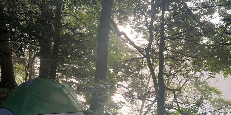 Camper submitted image from Dingmans Shallows Campground — Delaware Water Gap National Recreation Area