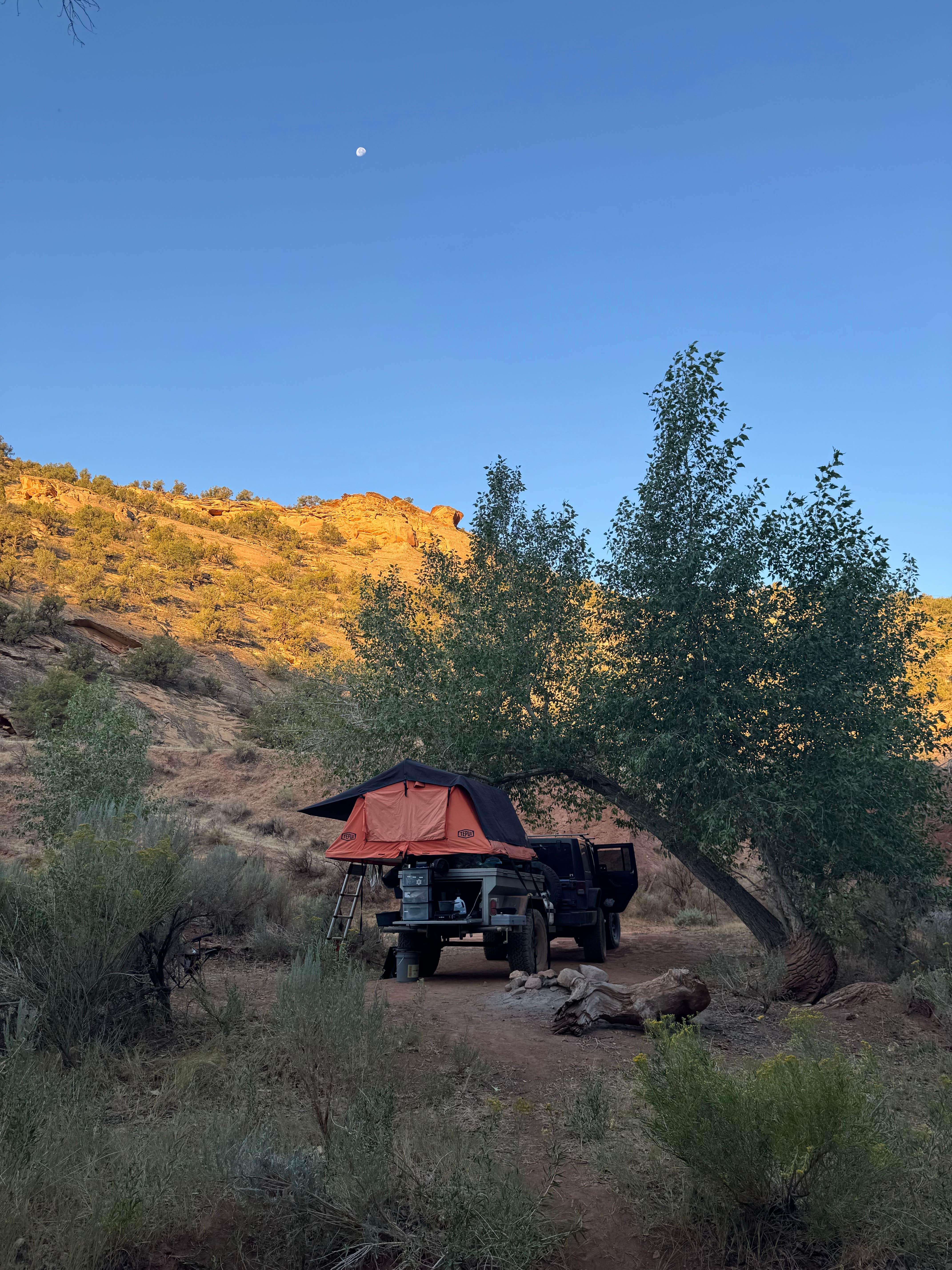 Byron M.'s photo of a dispersed camping area at Dispersed Camping Near Dinosaur National Monument near Neola, UT