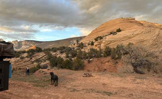 Teresa A.'s photo of camping with pets at Dispersed Camping Near Dinosaur National Monument near Dinosaur, CO