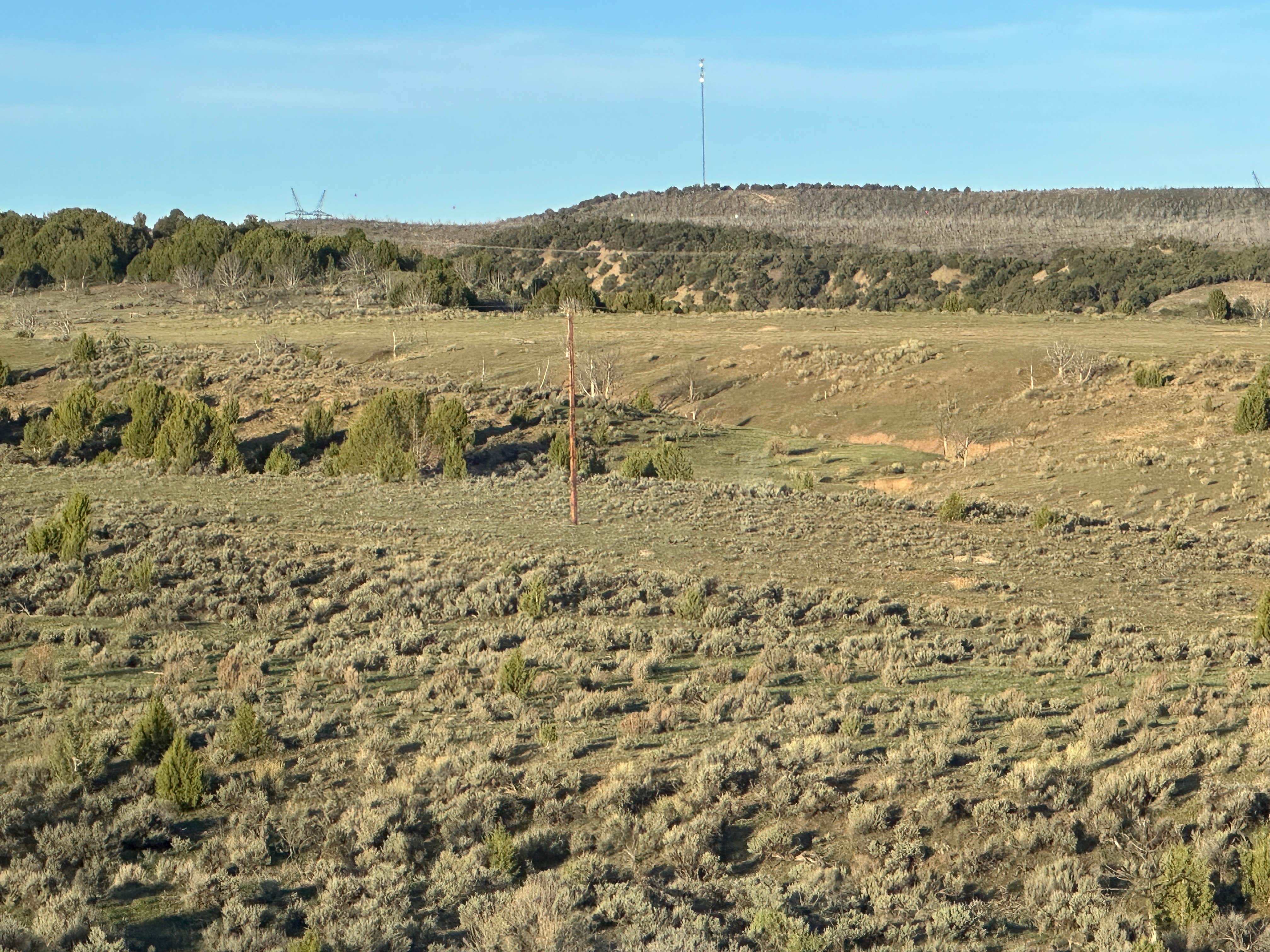 Camper-submitted photo at Dinosaur Park Service Road near Rangely, CO