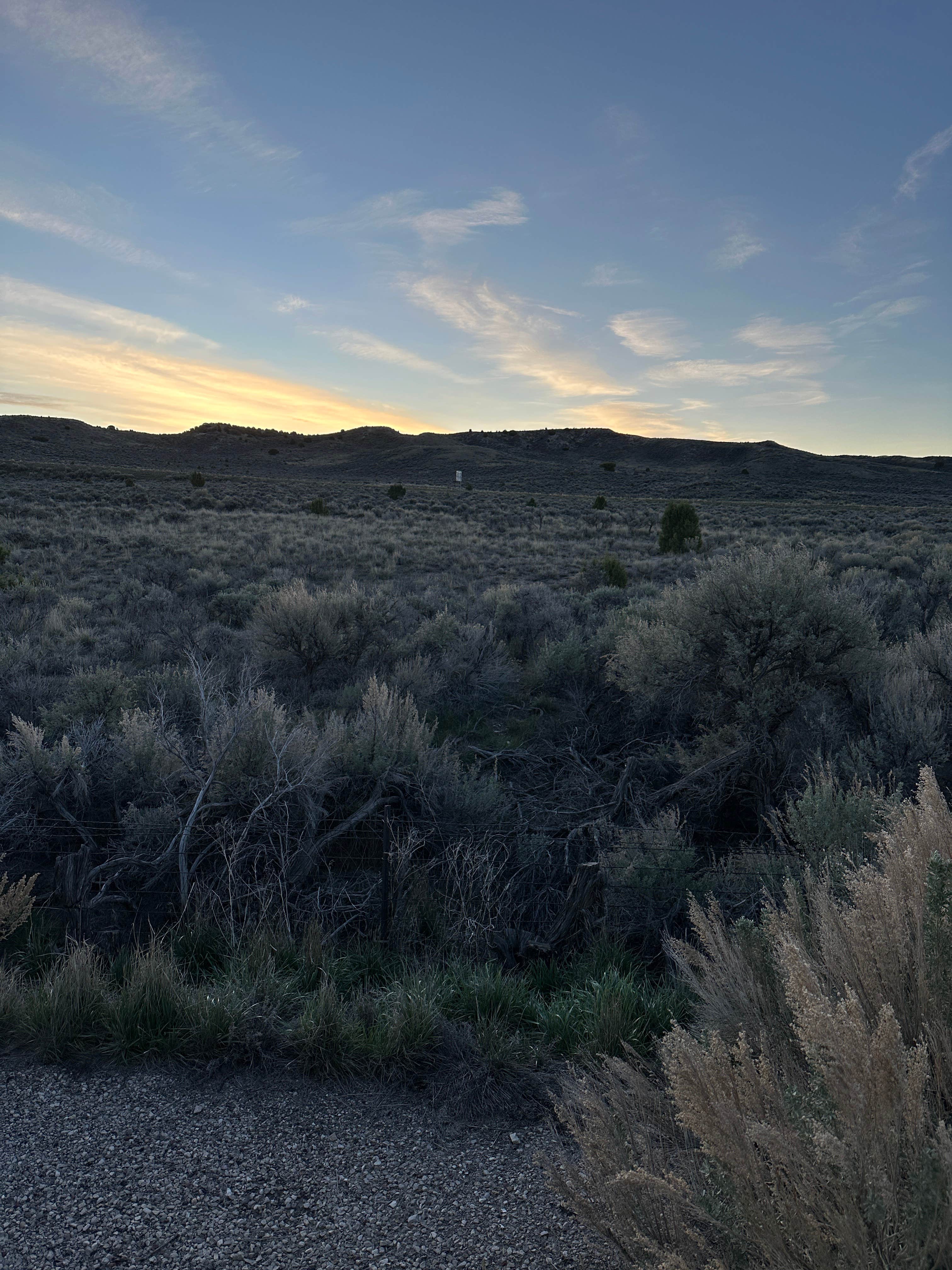 Camper-submitted photo at Dinosaur Park Service Road near Rangely, CO