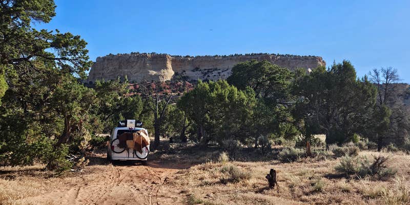 Camper submitted image from Dinosaur South Dispersed Camp