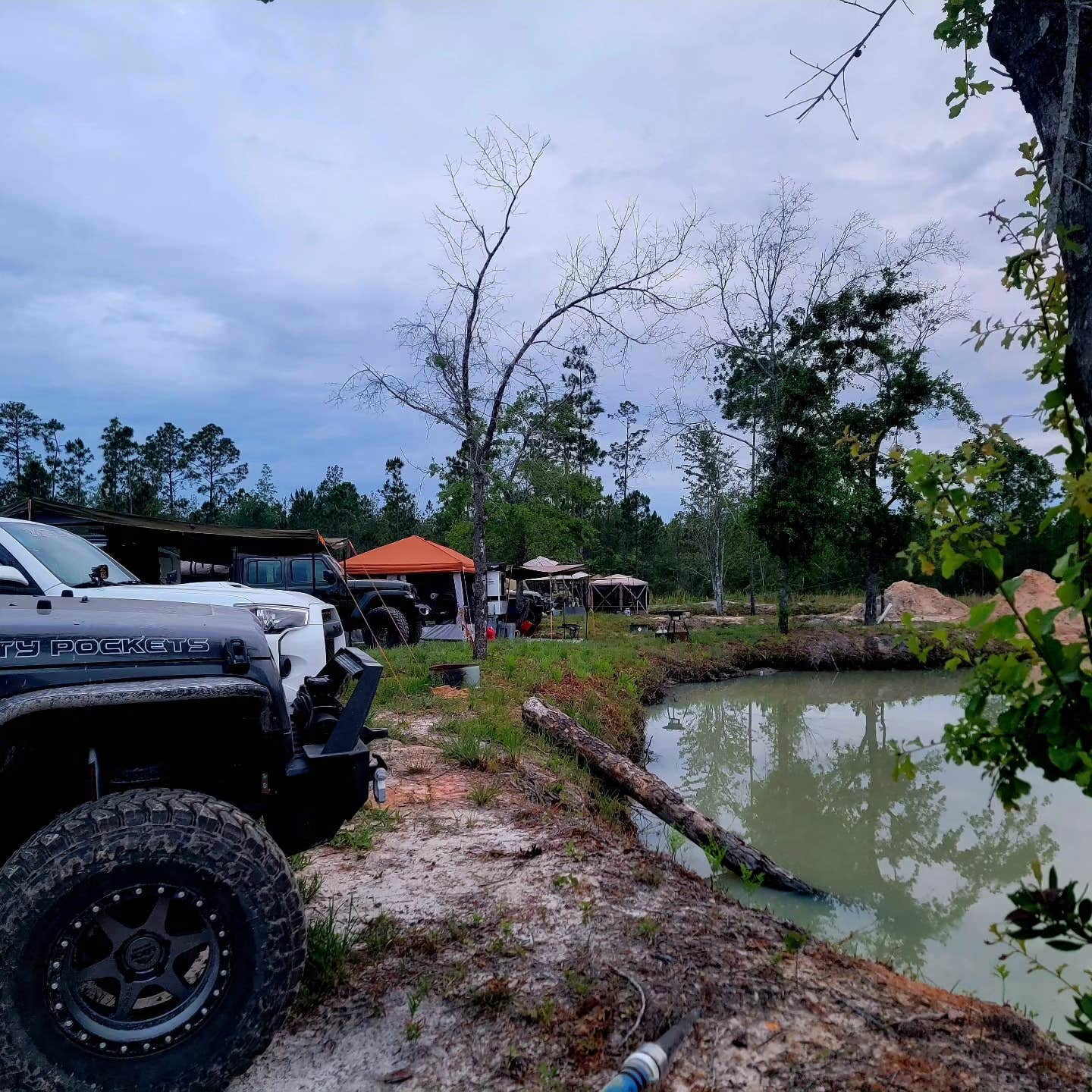 Ali P.'s photo of tent camping at DirtCamp near Hoboken, GA