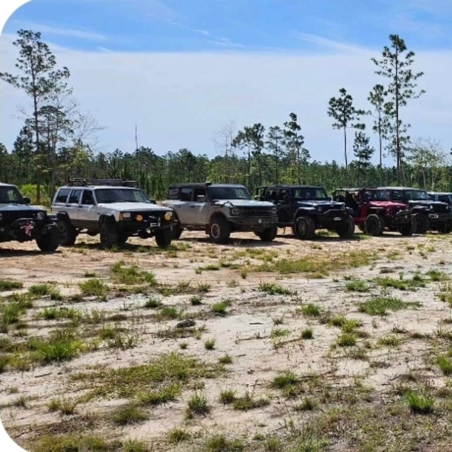 Camper-submitted photo at DirtCamp near Waycross, GA