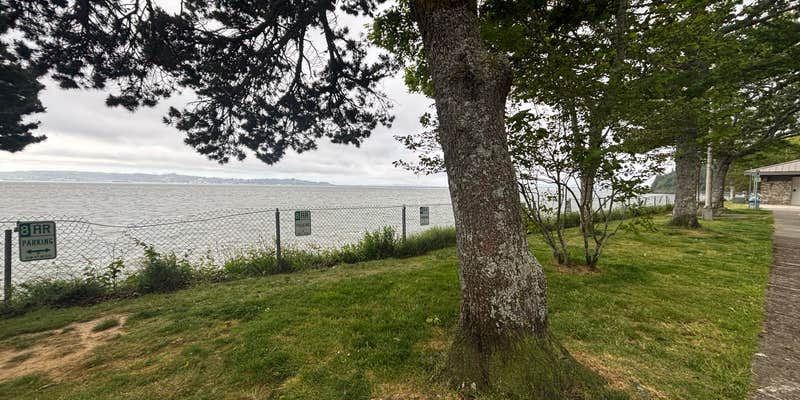 Camper submitted image from Dismal Nitch Rest stop