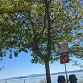Review photo of Dismal Nitch Rest stop by aubrey M., June 14, 2026