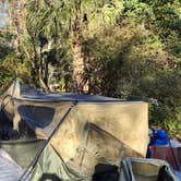 Review photo of Disney’s Fort Wilderness Resort & Campground by Vanessa A., May 15, 2024