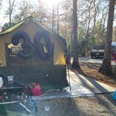 Review photo of Disney’s Fort Wilderness Resort & Campground by Vanessa A., May 15, 2024