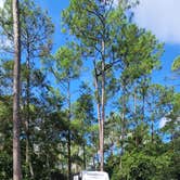 Review photo of Disney’s Fort Wilderness Resort & Campground by Greg S., September 21, 2023