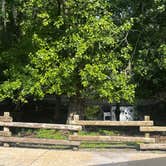 Review photo of Disney’s Fort Wilderness Resort & Campground by Jennifer H., August 8, 2024