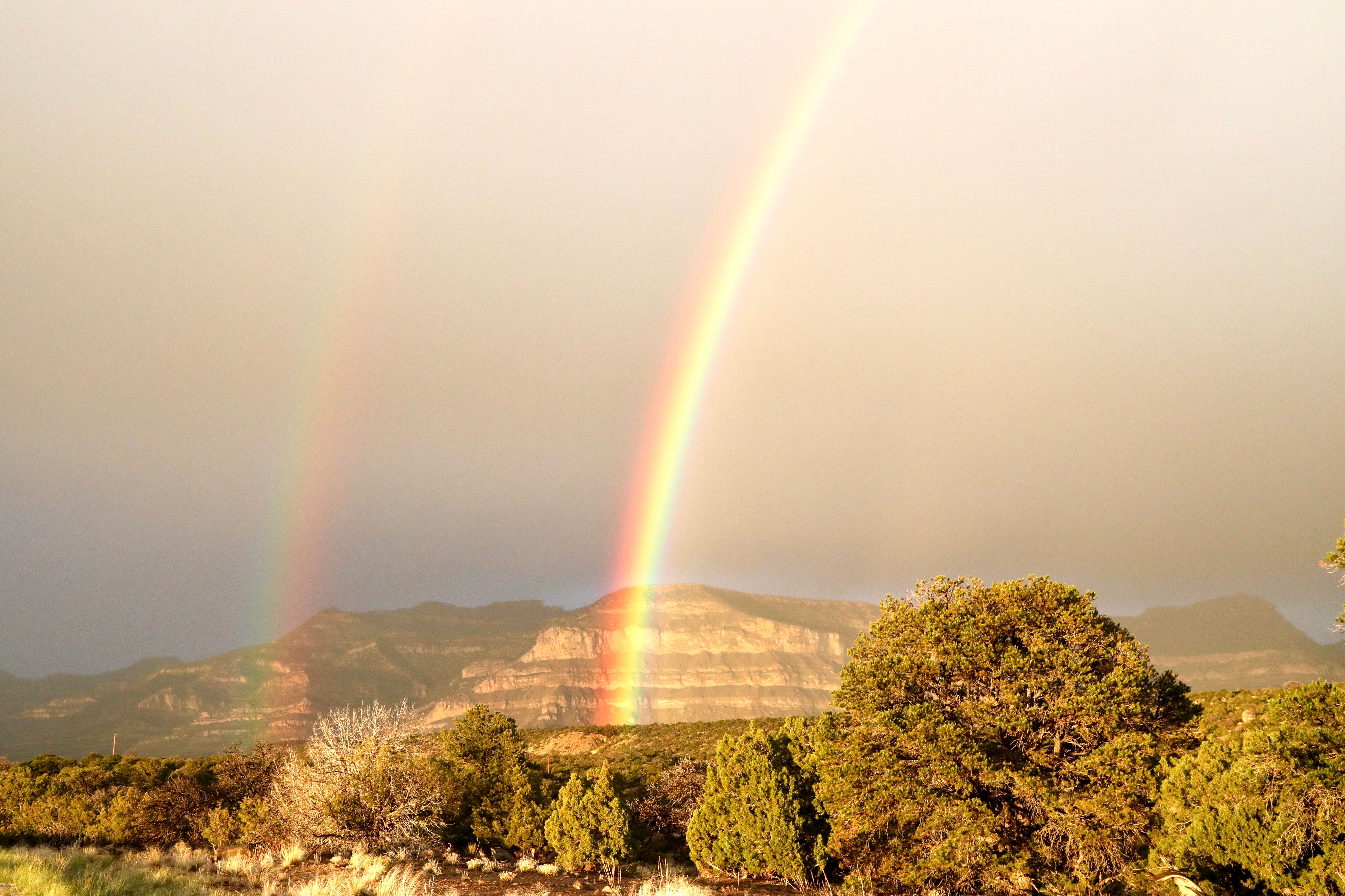 Felix S.'s photo of a dispersed camping area at Horse Canyon Road - Dispersed Open Area near Kenilworth, UT