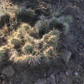 Review photo of Horse Canyon Road - Dispersed Open Area by Jim L., September 16, 2024