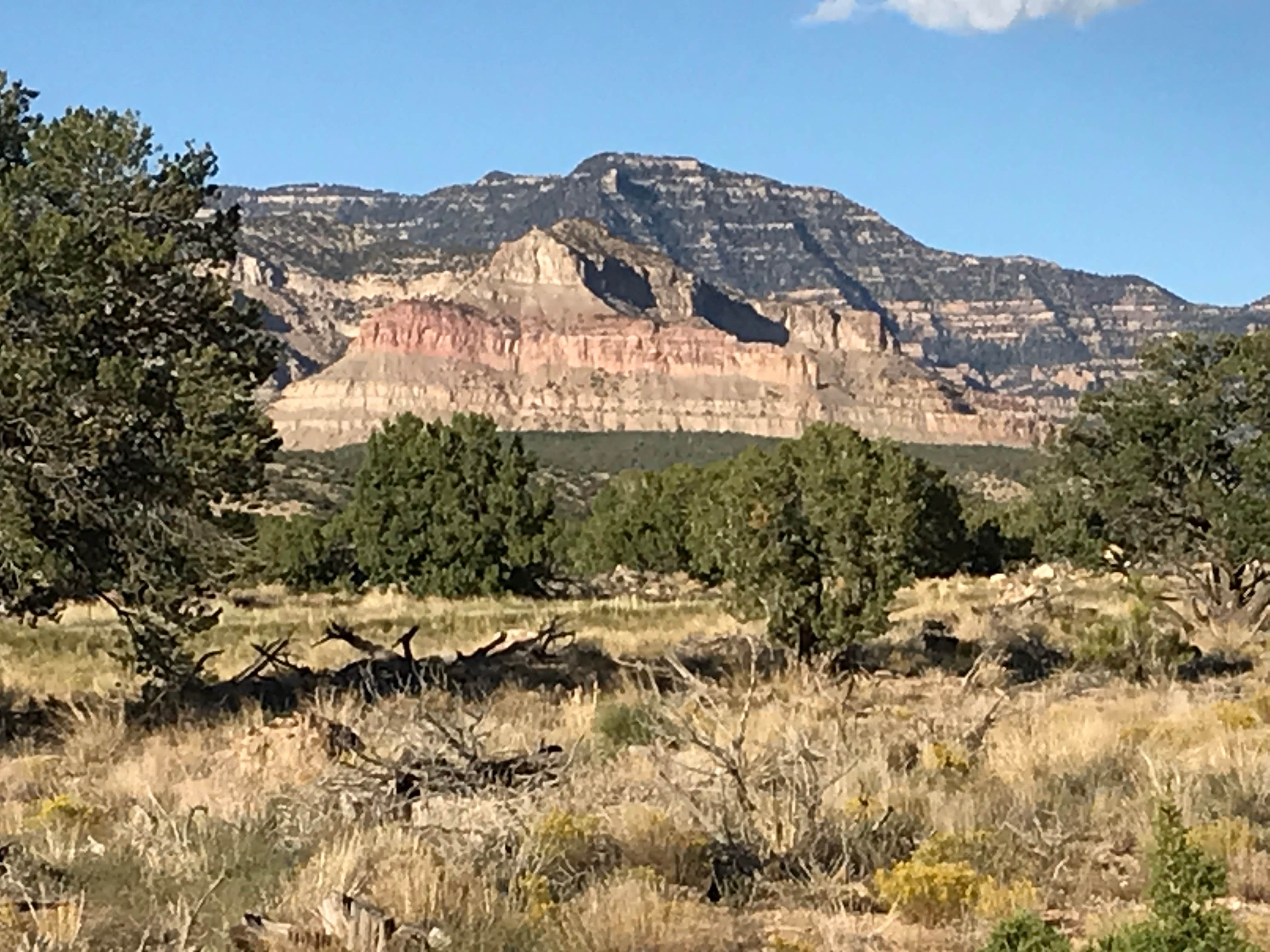 Camper-submitted photo at Horse Canyon Road - Dispersed Open Area near Kenilworth, UT