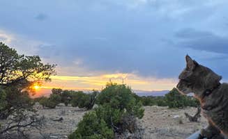 Seanna M.'s photo of camping with pets at Horse Canyon Road - Dispersed Open Area near Wellington, UT