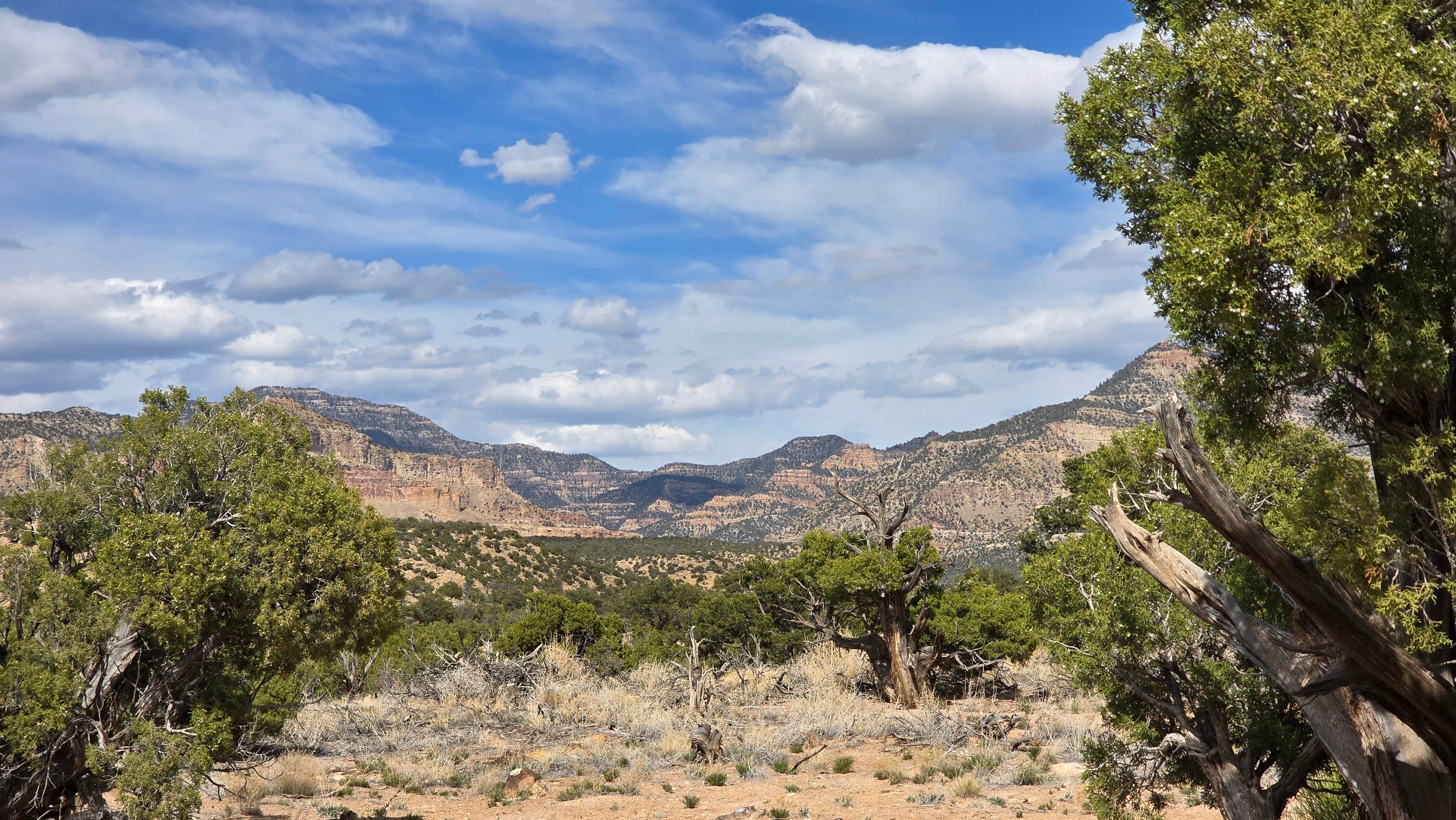 Camper-submitted photo at Horse Canyon Road - Dispersed Open Area near Kenilworth, UT