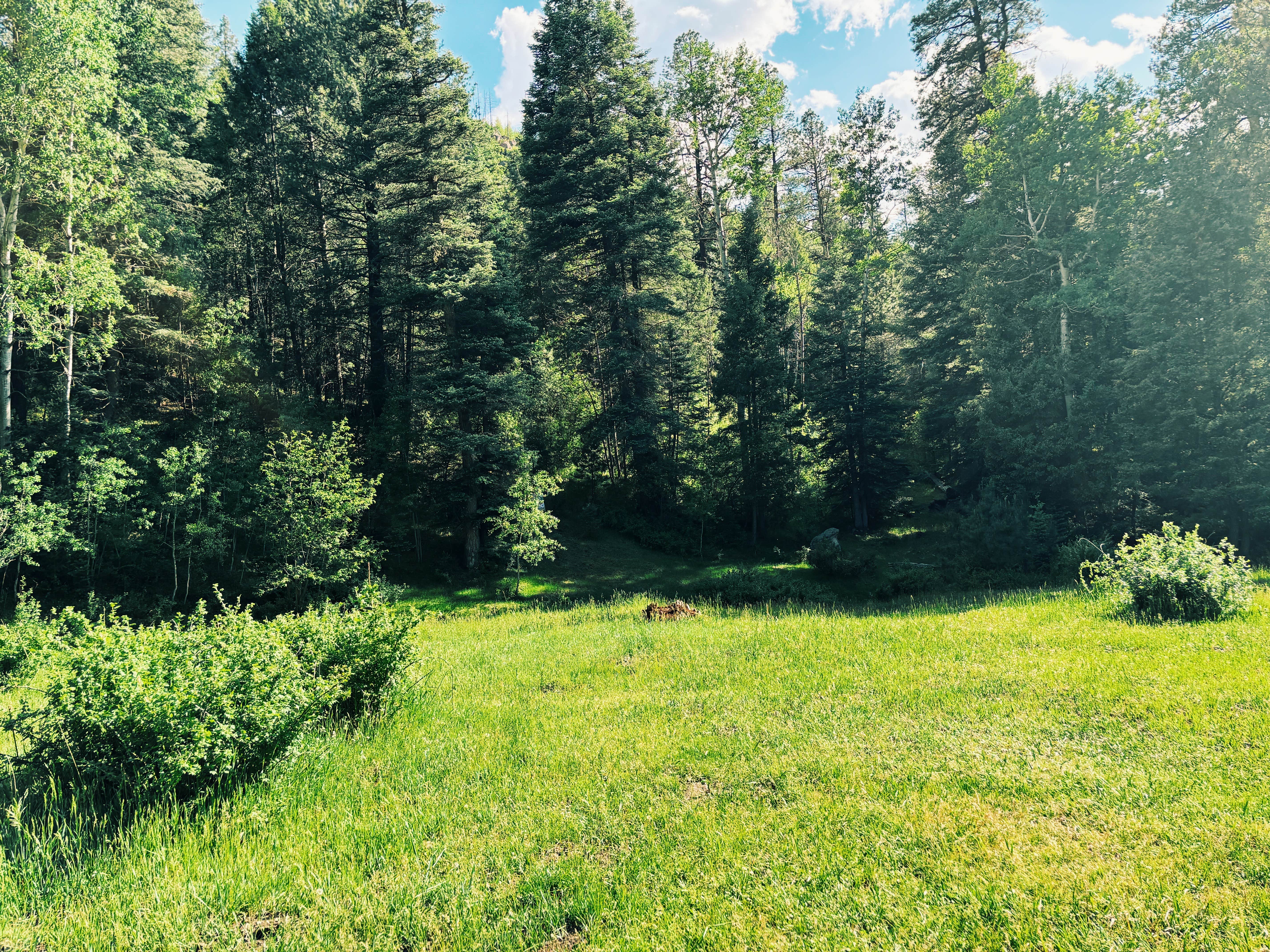Camper-submitted photo at Road 378, Fenton Lake - Dispersed near Abiquiu Lake