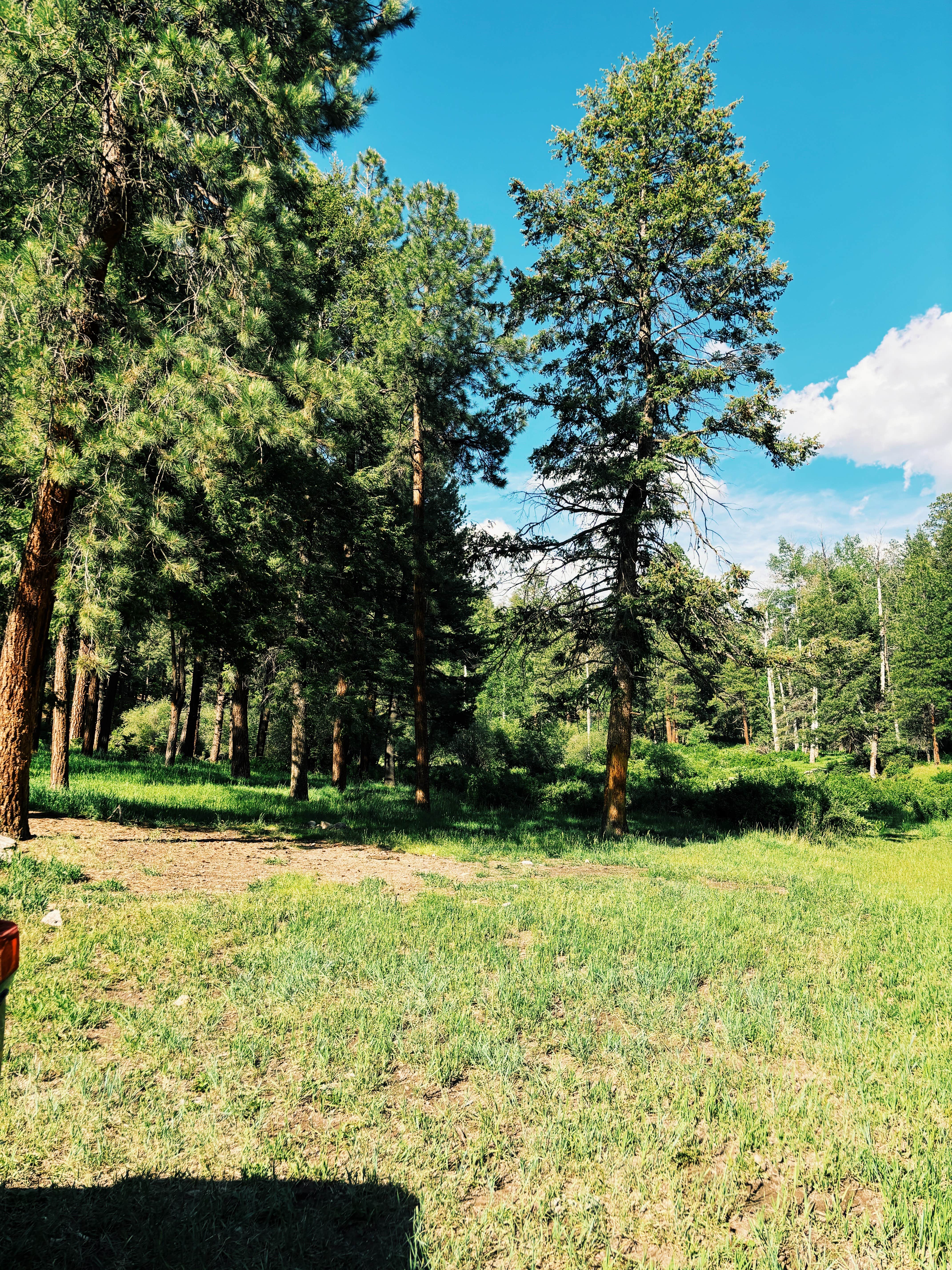 Camper-submitted photo at Road 378, Fenton Lake - Dispersed near Abiquiu Lake