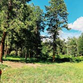 Review photo of Road 378, Fenton Lake - Dispersed by Nora S., June 14, 2025