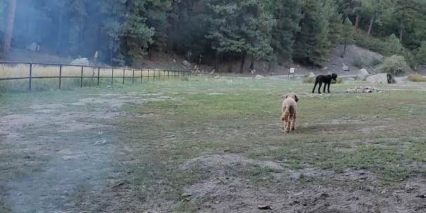 Camper submitted image from Road 378, Fenton Lake - Dispersed