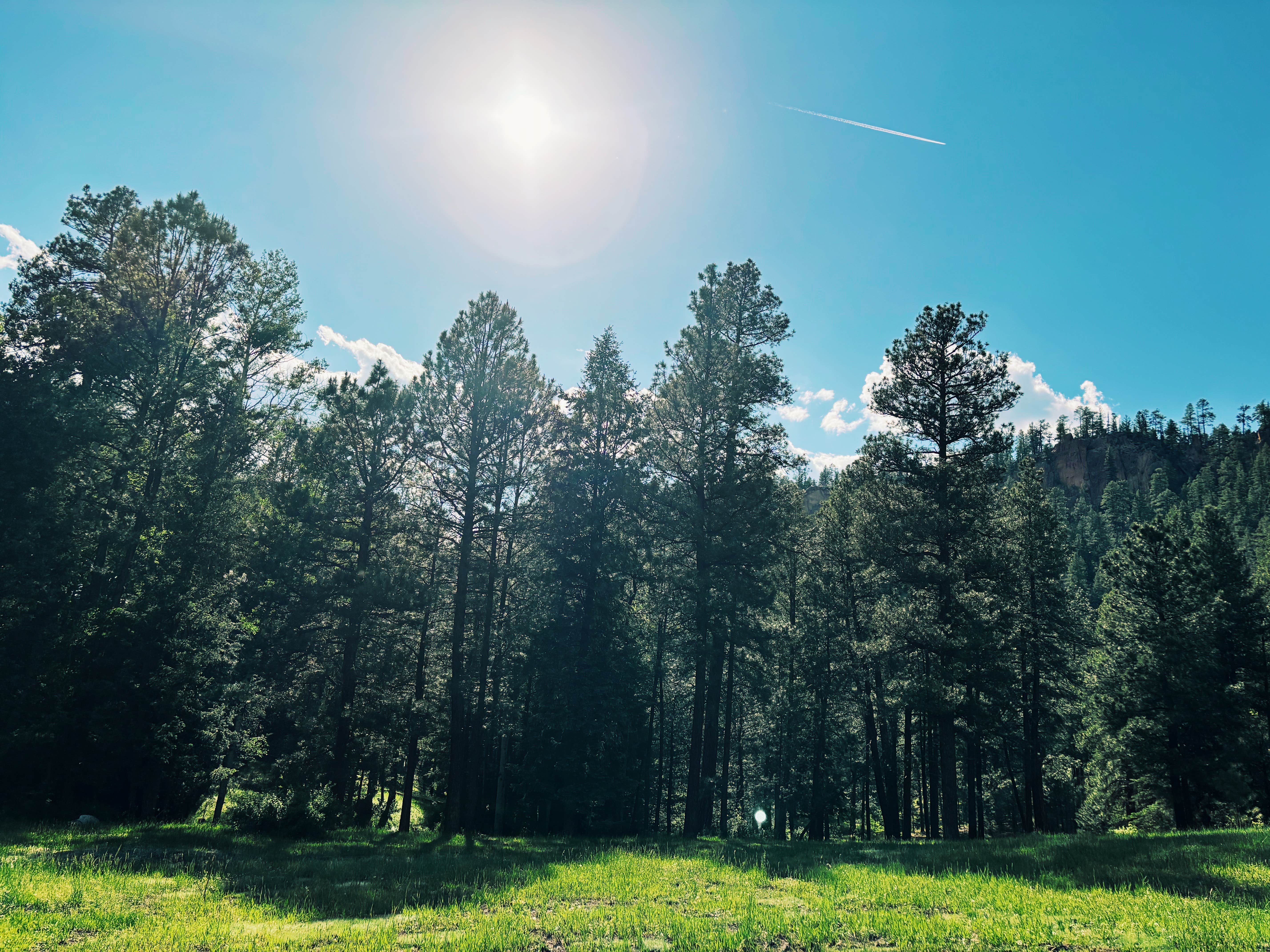 Camper-submitted photo at Road 378, Fenton Lake - Dispersed near Abiquiu Lake